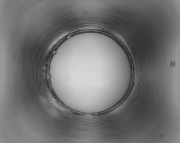 X0000115530827200911061125