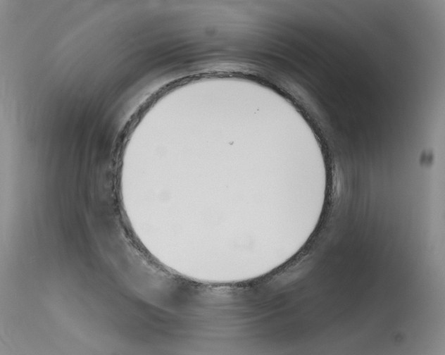 X0000115530828200911061125