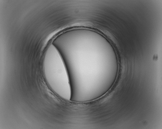 X0000115530830200911061125