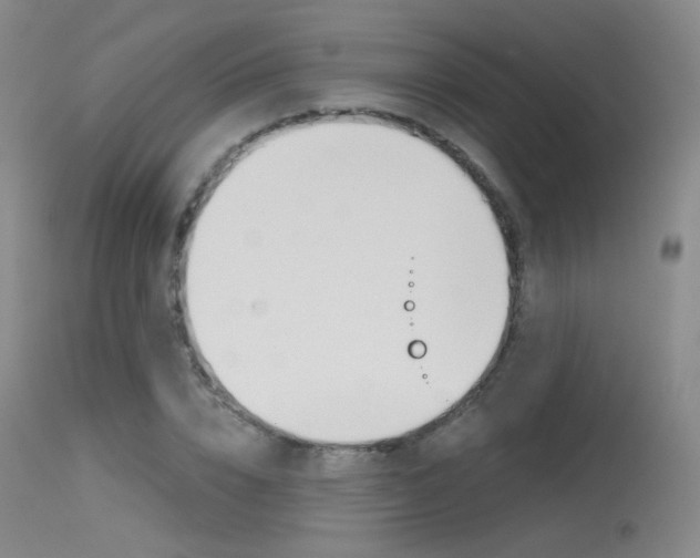 X0000115530832200911061125