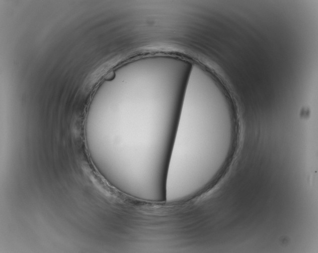 X0000115530833200911061125