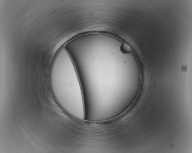 X0000115530834200911061125
