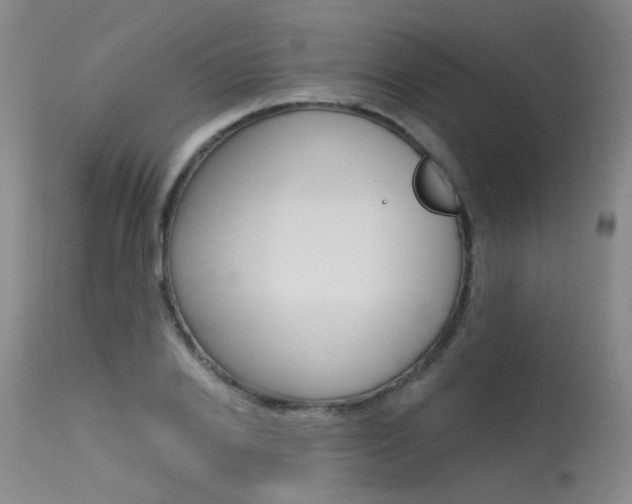 X0000115530838200911061125
