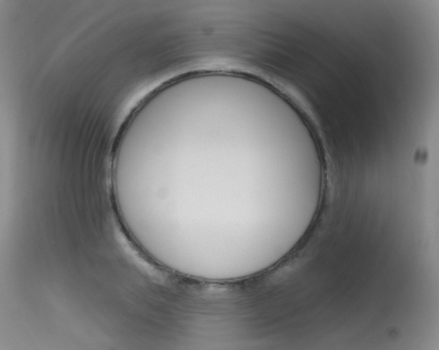 X0000115530839200911061125