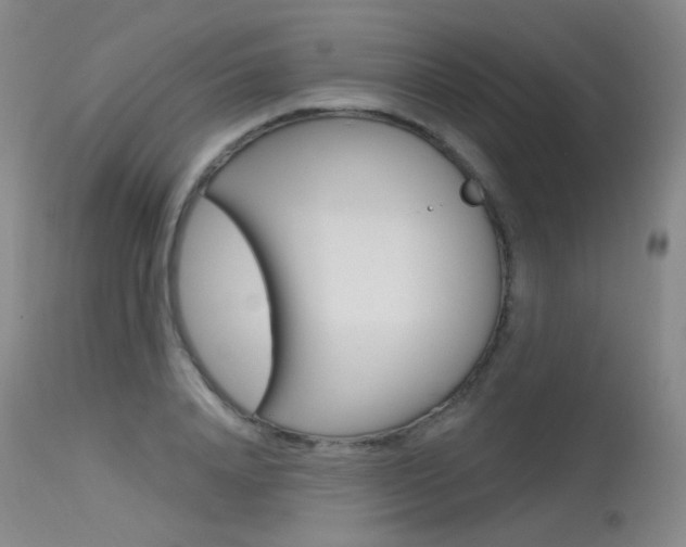 X0000115530840200911061125
