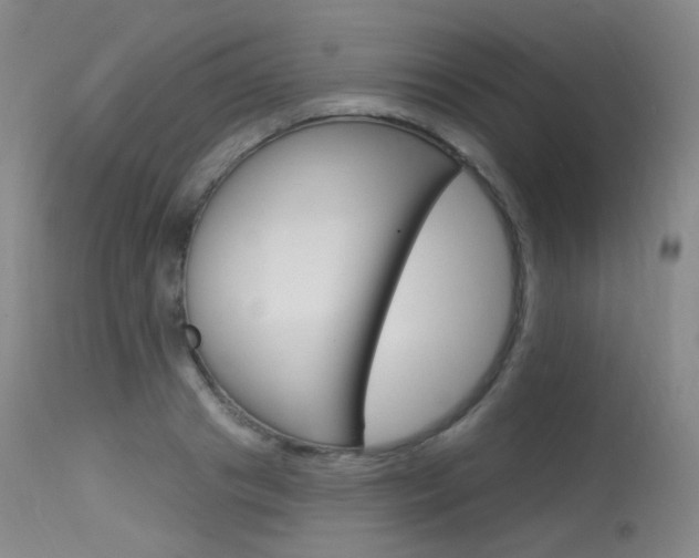 X0000115530841200911061125