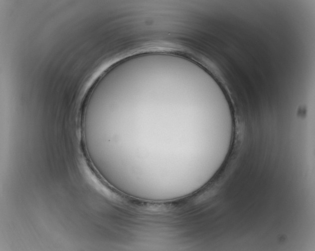 X0000115530843200911061125