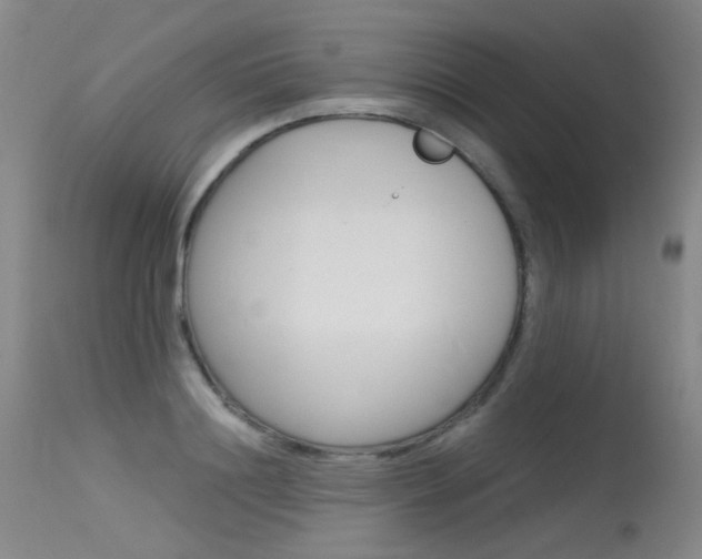 X0000115530844200911061125