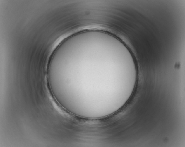 X0000115530845200911061125