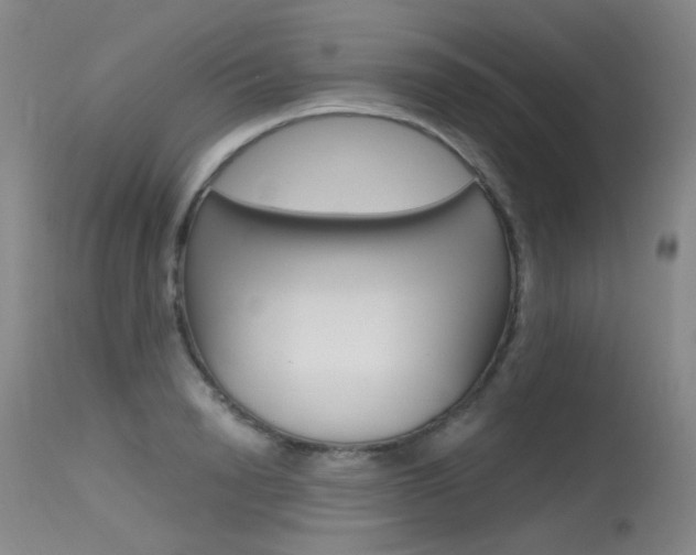 X0000115530846200911061125