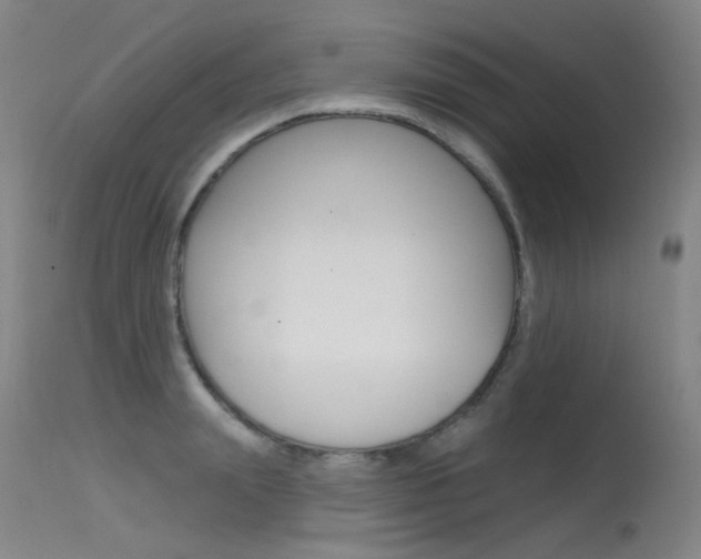 X0000115530847200911061125