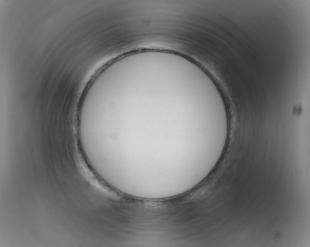 X0000115530848200911061125
