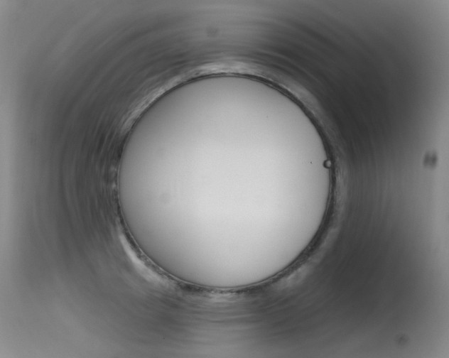 X0000115530849200911061125