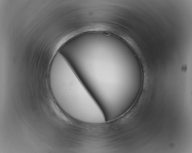 X0000115530850200911061125