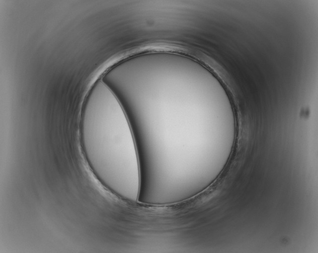 X0000115530853200911061125