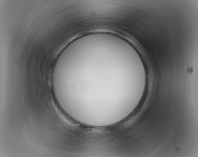 X0000115530857200911061125