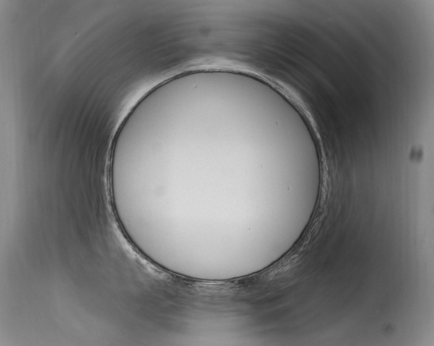 X0000115530863200911061125
