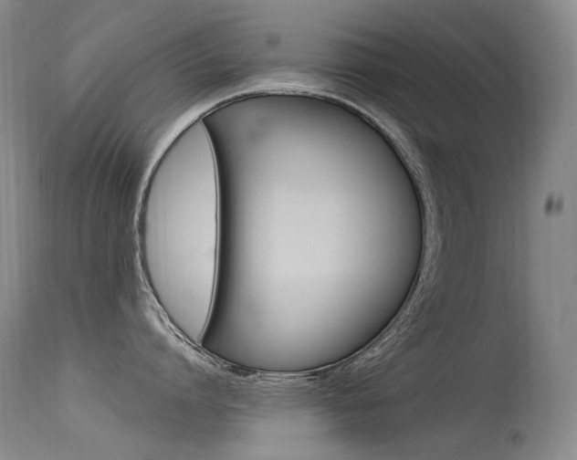 X0000115530864200911061125
