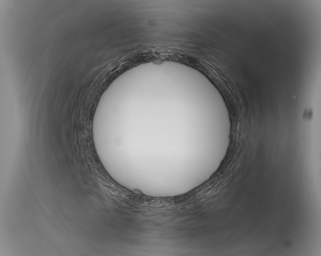 X0000115530865200911061125