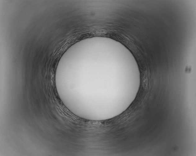 X0000115530866200911061125