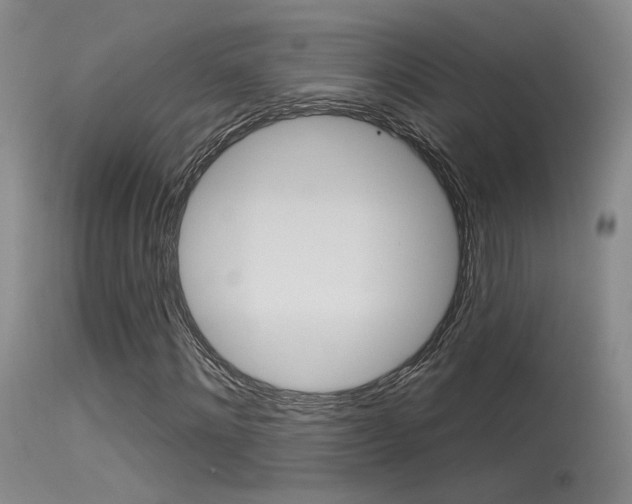 X0000115530868200911061125