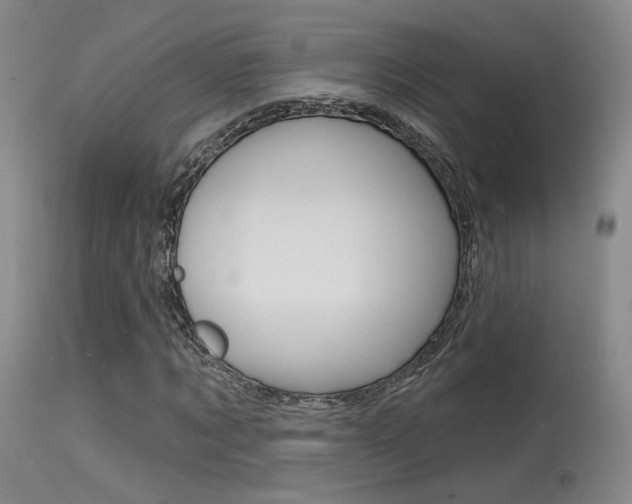 X0000115530869200911061125