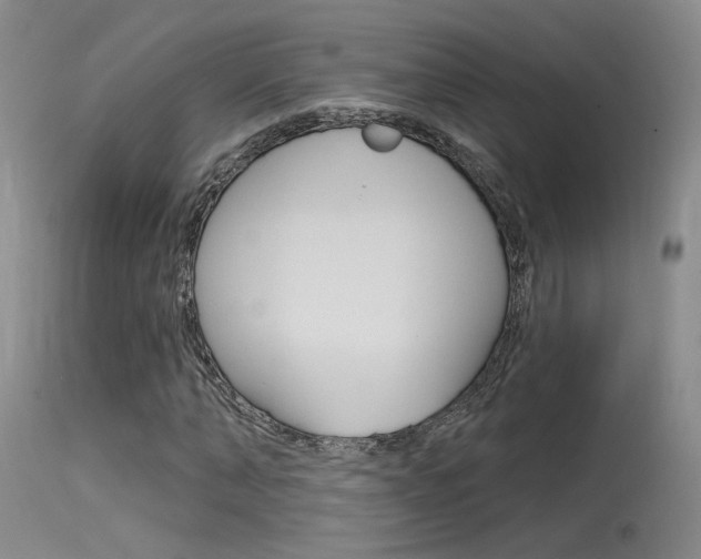 X0000115530870200911061125