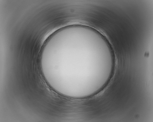 X0000115530877200911061124