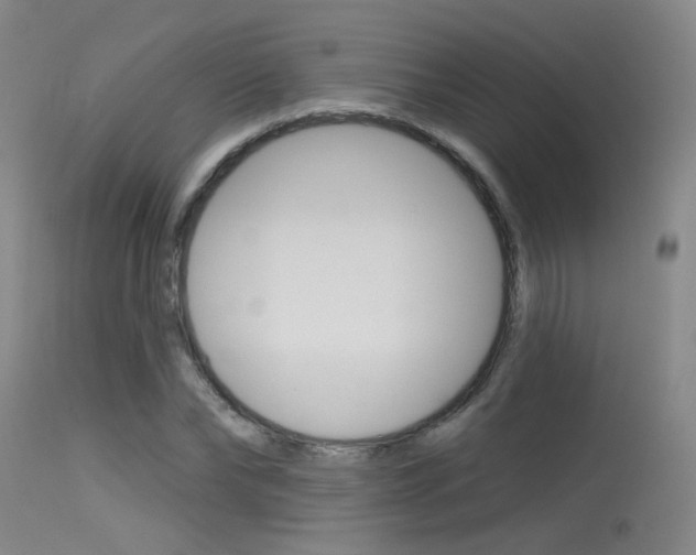 X0000115530878200911061124