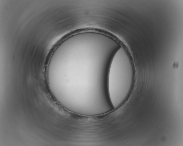 X0000115530879200911061124
