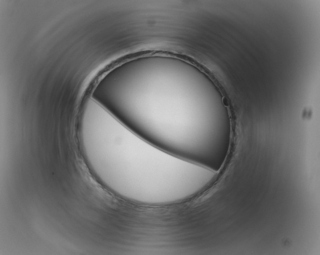 X0000115530880200911061124
