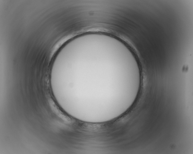 X0000115530882200911061124