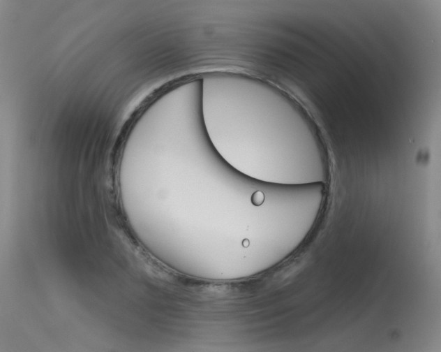 X0000115530883200911061124