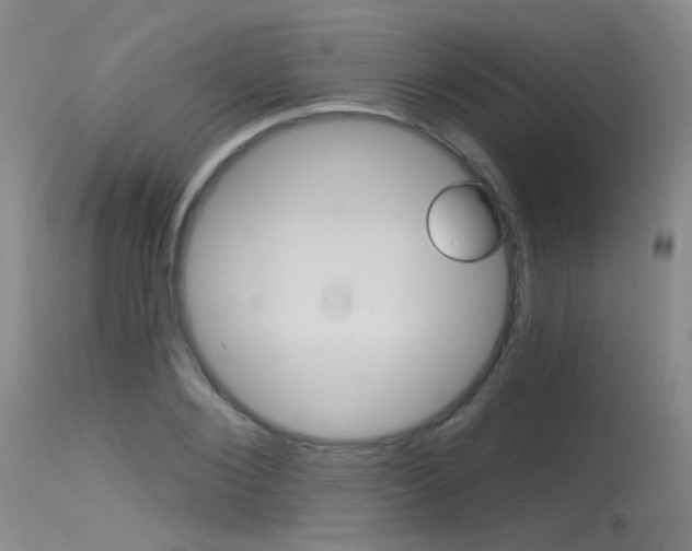 X0000115530884200911061124