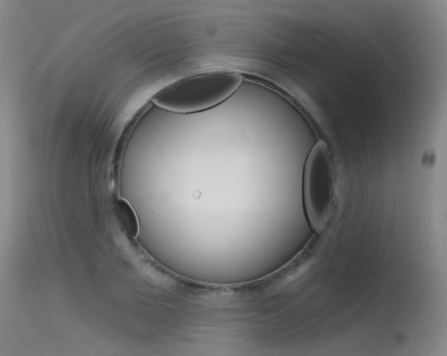 X0000115530885200911061124
