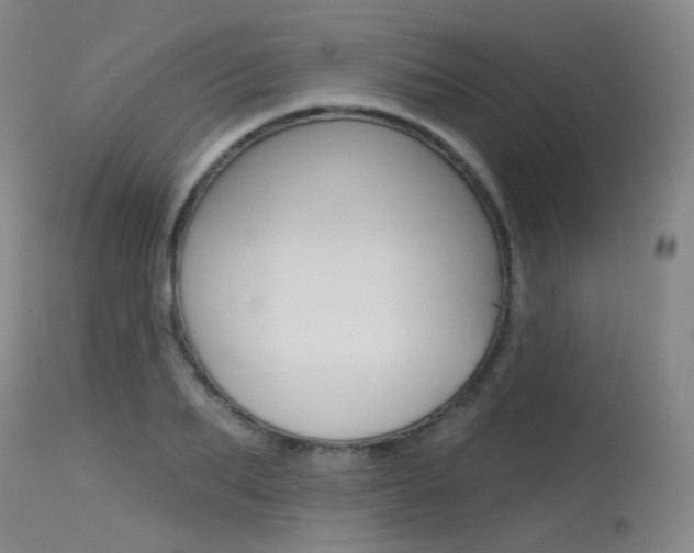 X0000115530887200911061124