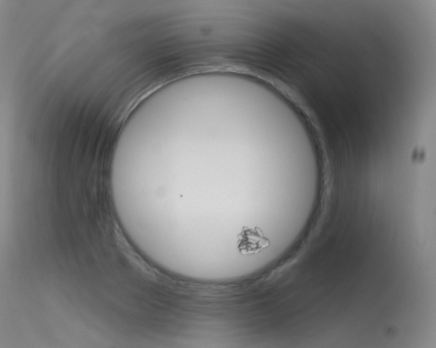 X0000115530889200911061124