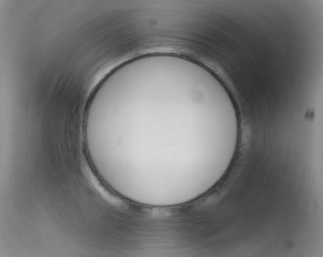 X0000115530890200911061124