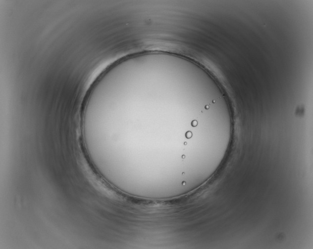 X0000115530891200911061124