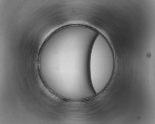 X0000115530895200911061124