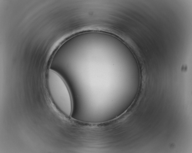 X0000115530896200911061124