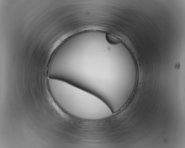 X0000115530898200911061124