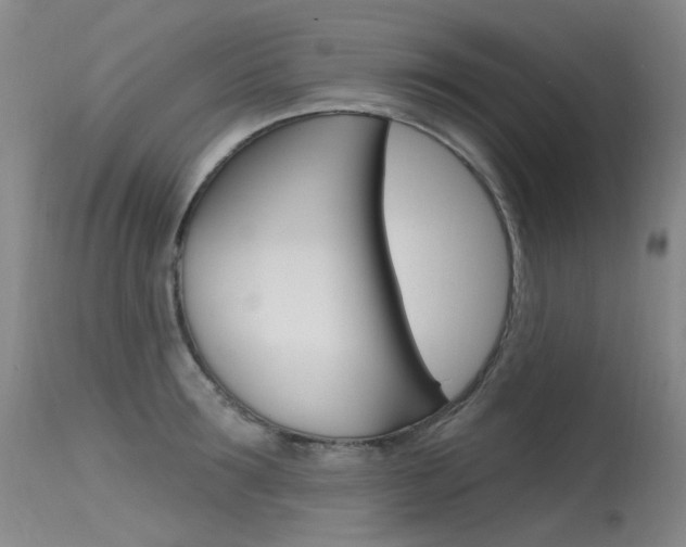 X0000115530899200911061124