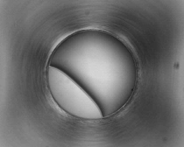 X0000115530900200911061124