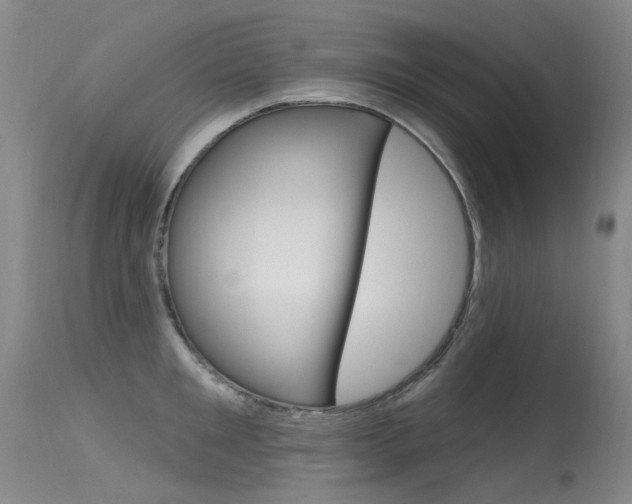 X0000115530901200911061124