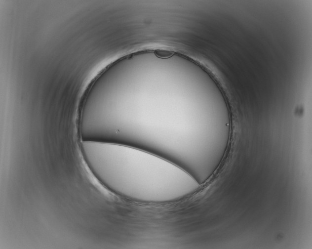 X0000115530902200911061124