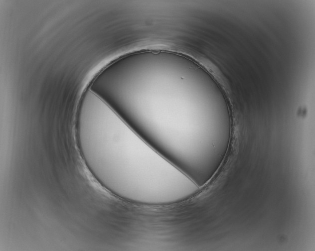 X0000115530904200911061124