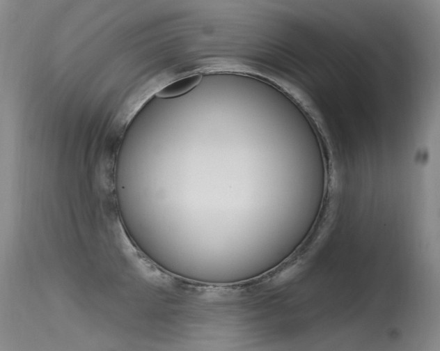 X0000115530905200911061124