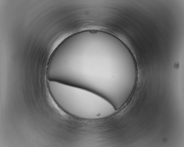 X0000115530906200911061124
