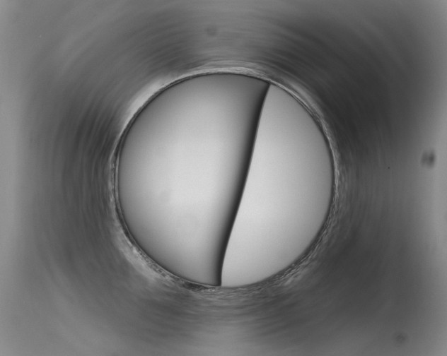 X0000115530907200911061124